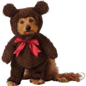 Teddy Bear Pet Costume